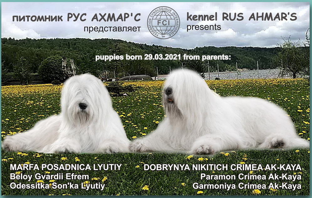 3 Dobrynya Nikitich Crimea Ak Kaya Marfa Posadnica Lyutiy