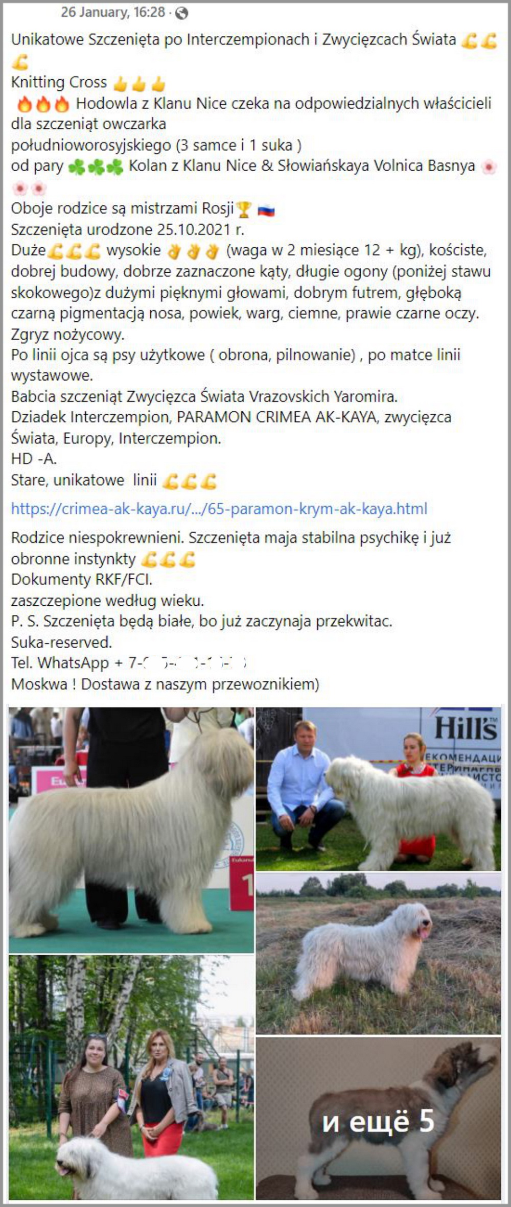 scrin fb 1