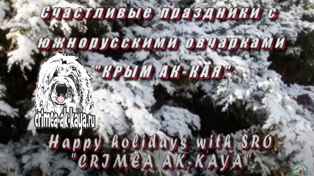 Зимние зарисовки с южаками КРЫМ АК КАЯ