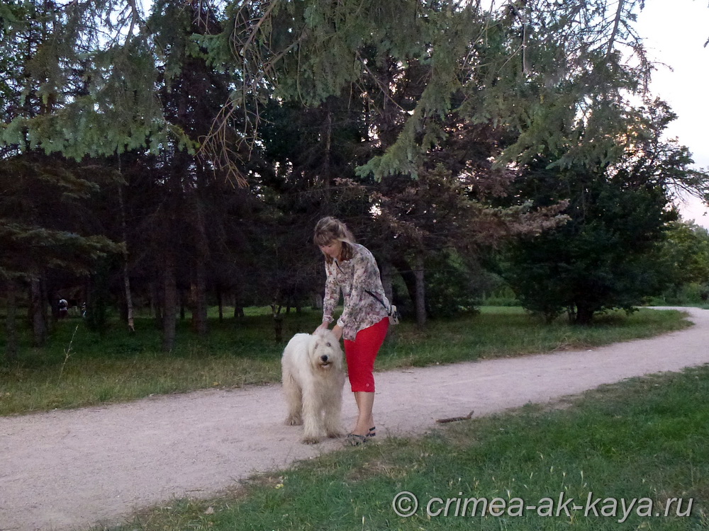 BOGEMIYA CRIMEA AK-KAYA 10 BOGEMIYA CRIMEA AK KAYA