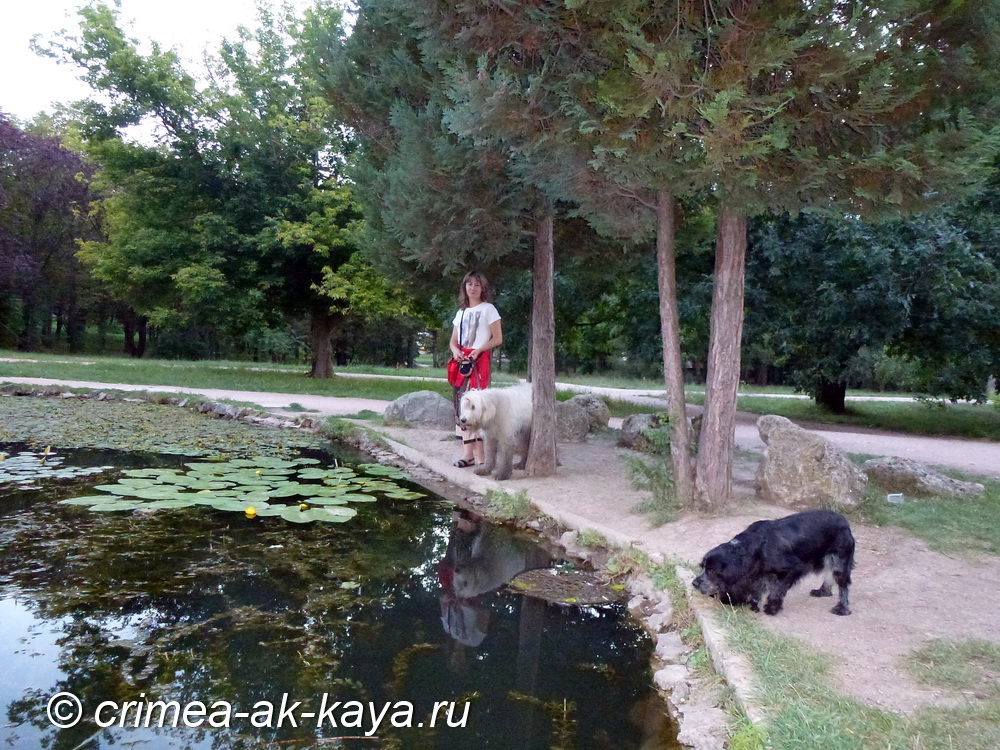 BOGEMIYA CRIMEA AK-KAYA 6 BOGEMIYA CRIMEA AK KAYA