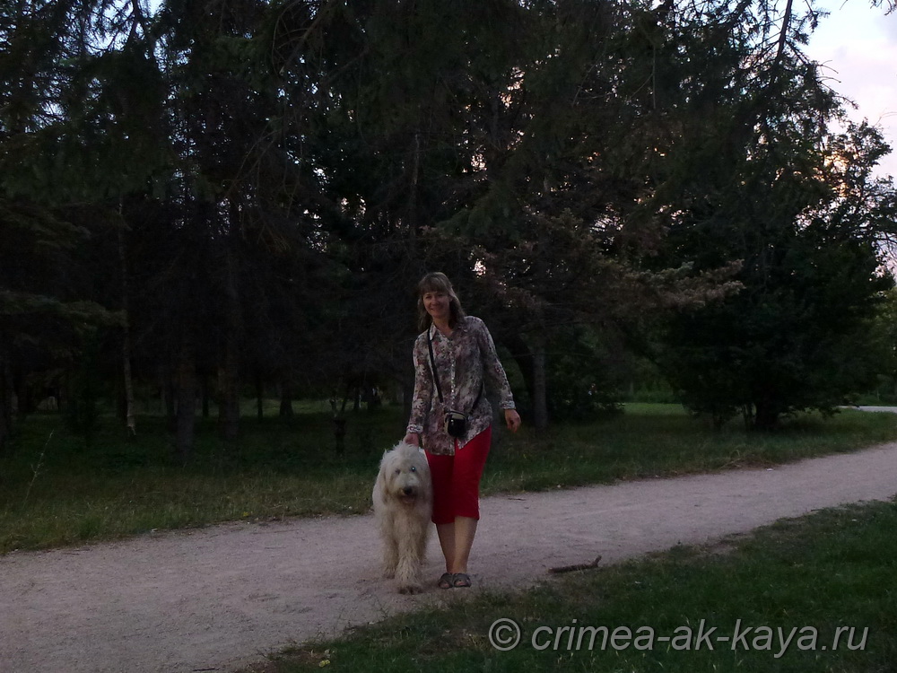 BOGEMIYA CRIMEA AK-KAYA 8 BOGEMIYA CRIMEA AK KAYA