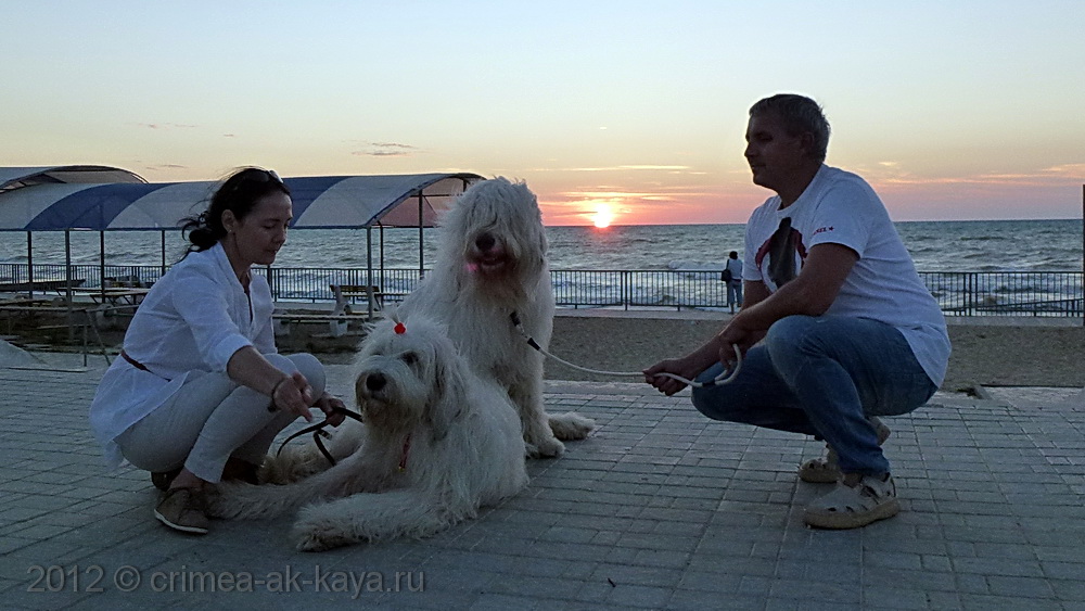 BOGEMIYA & BAYK CRIMEA AK-KAYA