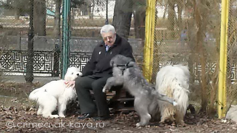 BOGEMIYA с дочками GLA-MURKA & GASPRA (gray) CRIMEA AK-KAYA, 3,5 мес. 4 P1080956