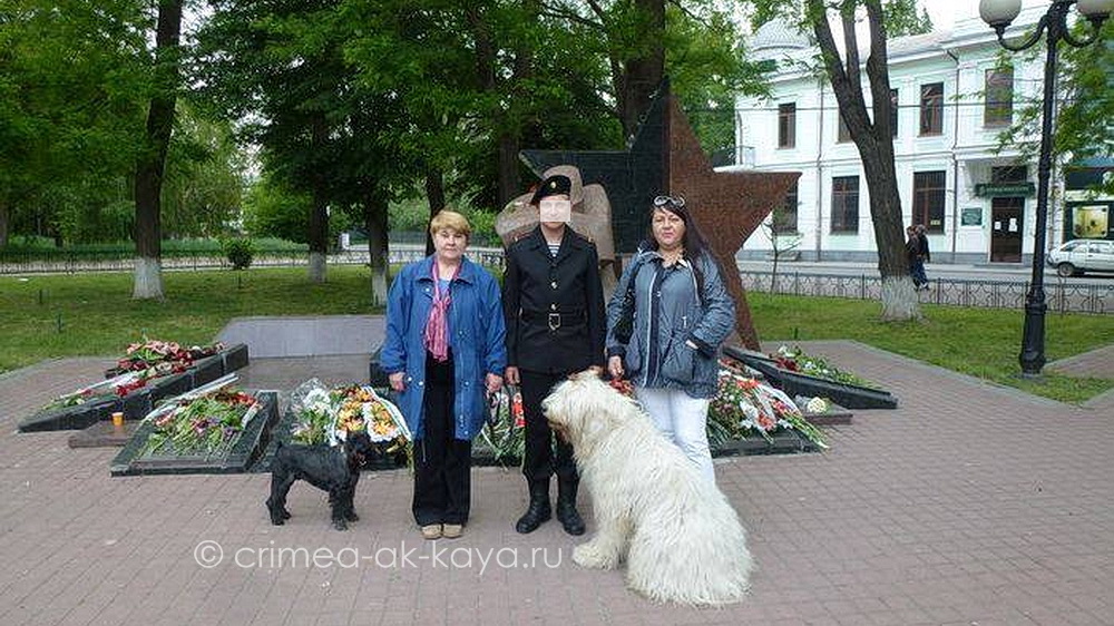 БОГЕМИЯ КРЫМ АК-КАЯ 15