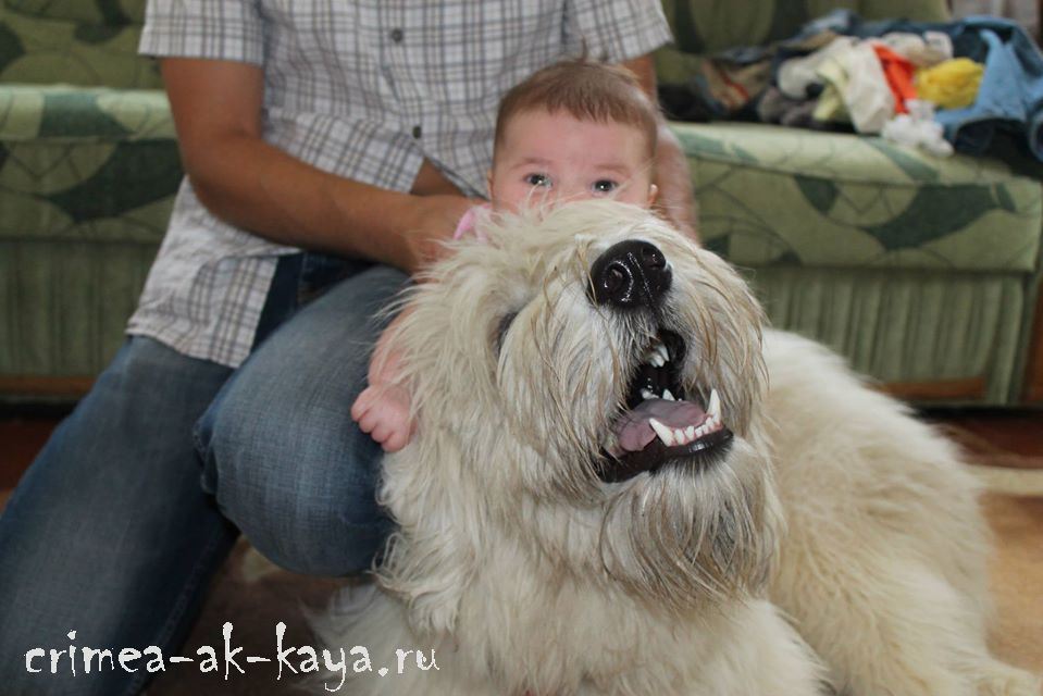 3 GARMONIYA CRIMEA AK KAYA