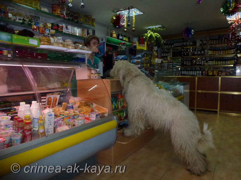 3 BOGEMIYA CRIMEA AK KAYA