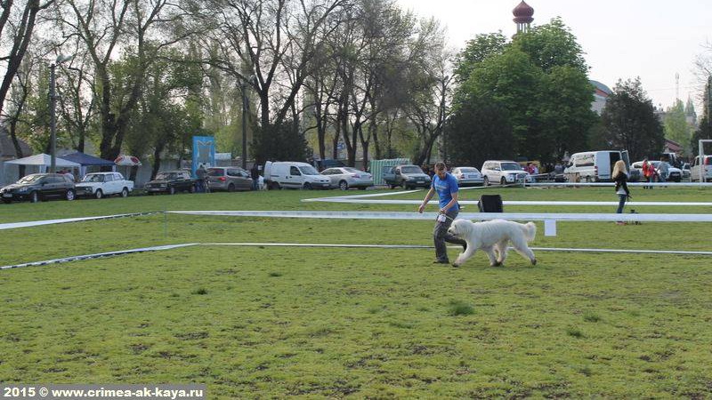 3 GARMONIYA CRIMEA AK KAYA