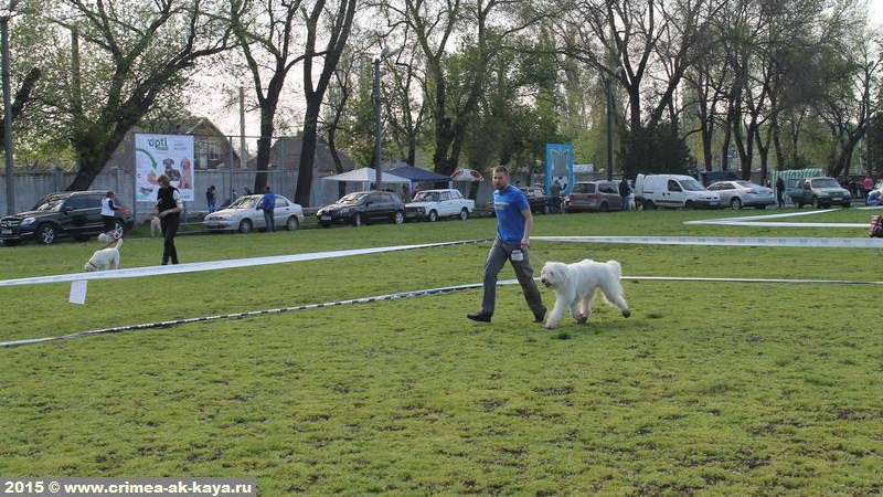 4 GARMONIYA CRIMEA AK KAYA