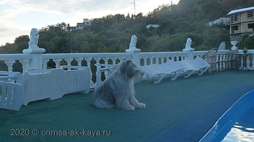 Dinara-Duyl'ber CRIMEA AK-KAYA