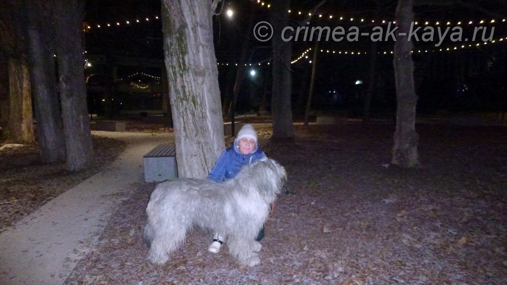 6 Dinara Duylber CRIMEA AK KAYA