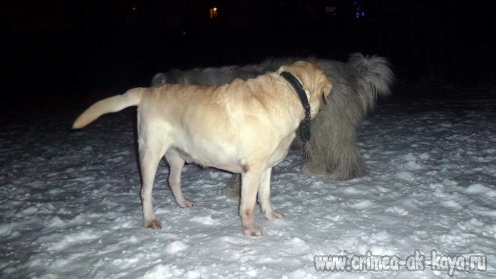 10 Dinara Duylber CRIMEA AK KAYA