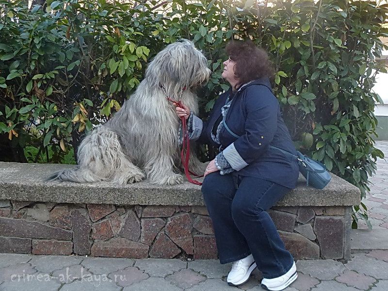 2 DINARA DYULBER CRIMEA AK KAYA