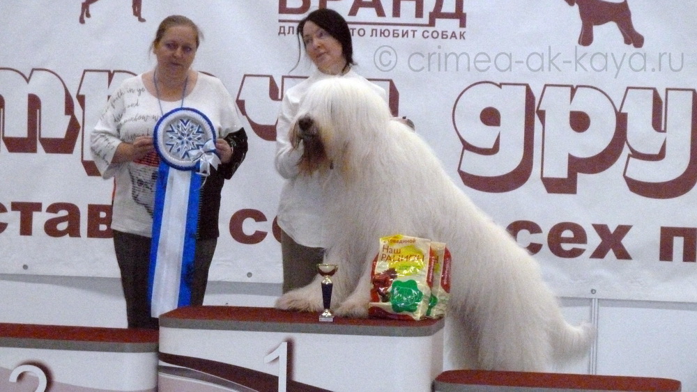 2 P1070425 