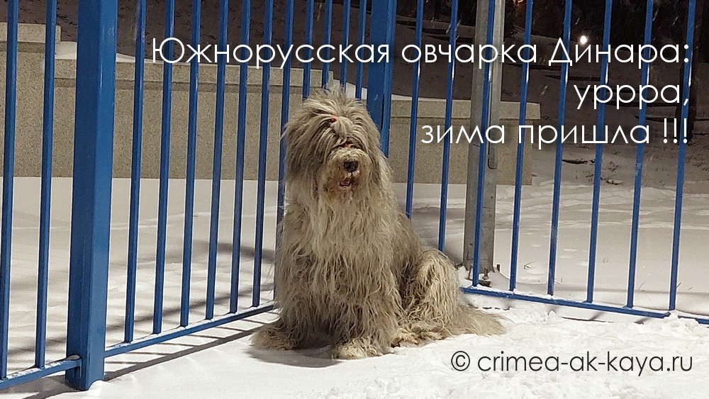 DINARA-DYUL'BER CRIMEA AK-KAYA