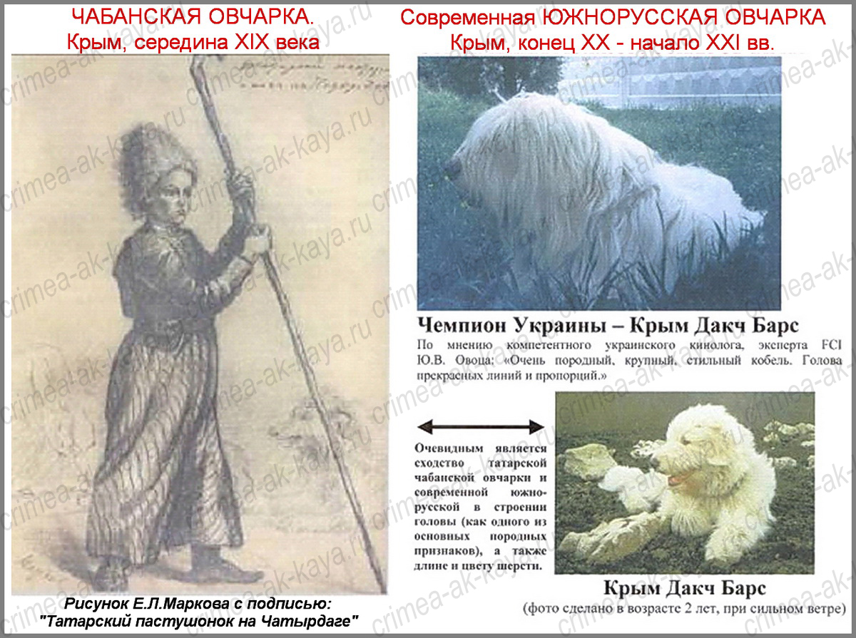 001 shema pastushok