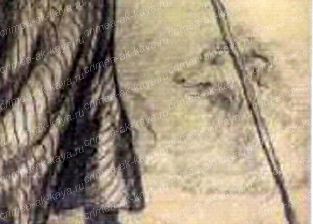 1 pastushok cobaka