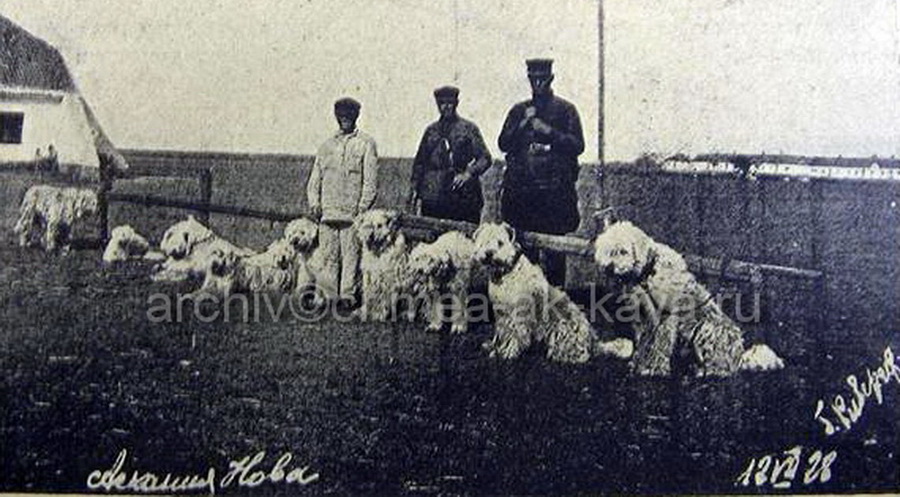 7 askania nova 1928
