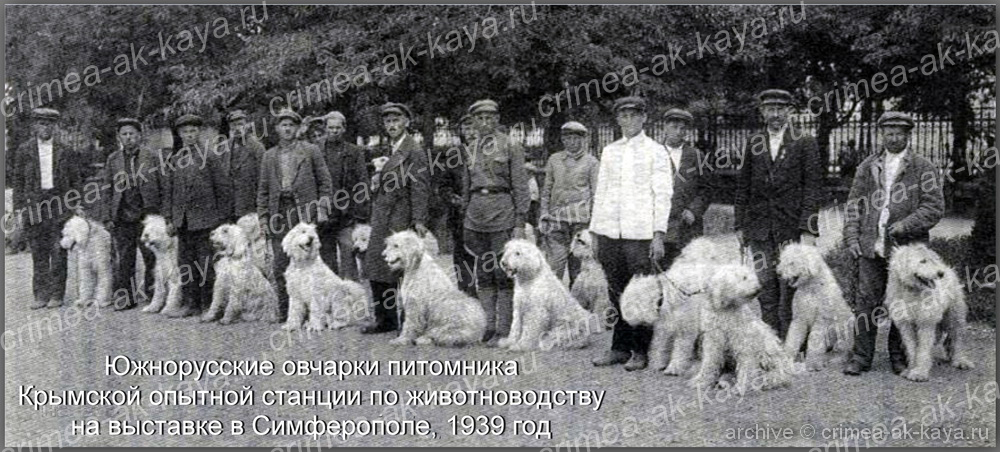 8 Simferopol 1939