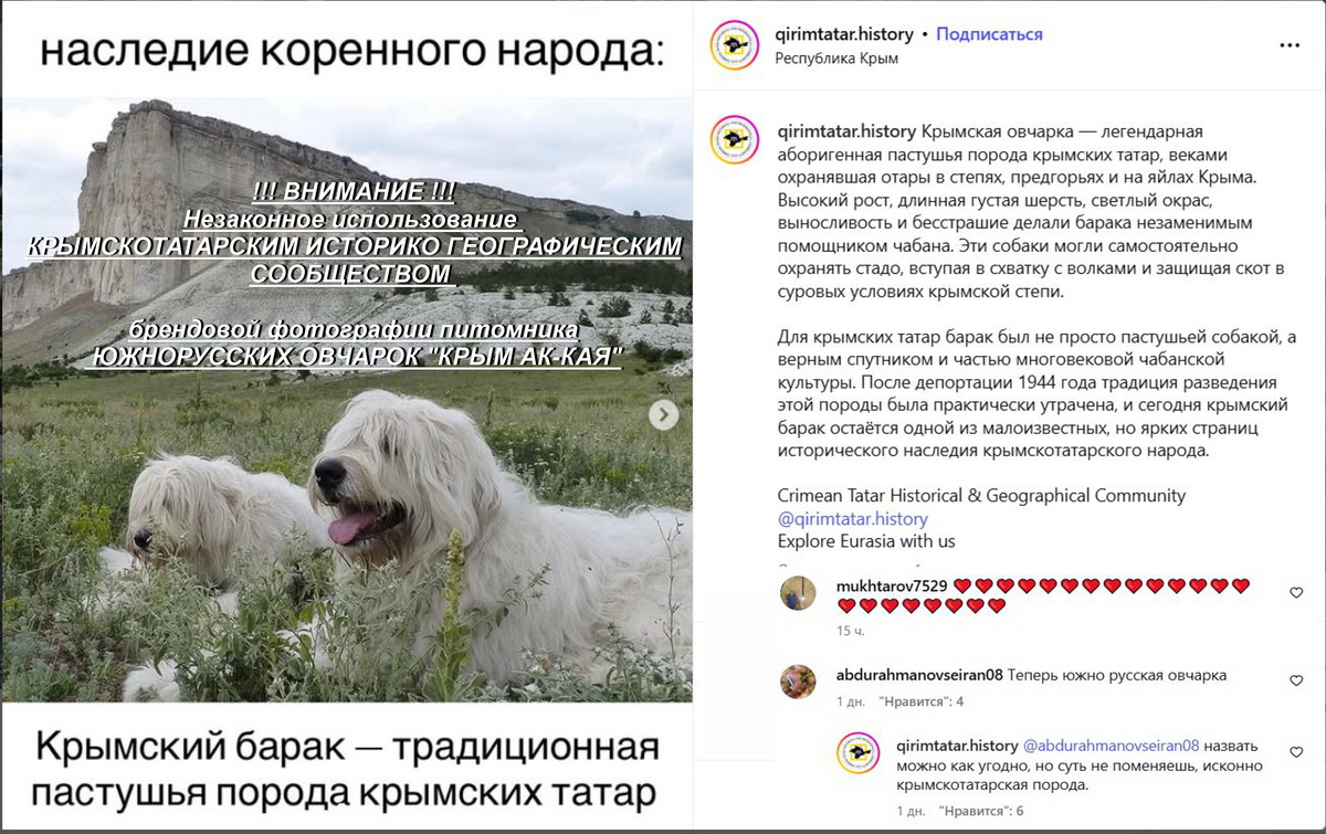 Незаконное использование КРЫМСКОТАТАРСКИМ ИСТОРИКО ГЕОГРАФИЧЕСКИМ СООБЩЕСТВОМ брендовой фотографии питомника ЮЖНОРУССКИХ ОВЧАРОК КРЫМ АК-КАЯ Незаконное использование КРЫМСКОТАТАРСКИМ ИСТОРИКО ГЕОГРАФИЧЕСКИМ СООБЩЕСТВОМ брендовой фотографии питомника ЮЖНОРУССКИХ ОВЧАРОК КРЫМ АК-КАЯ