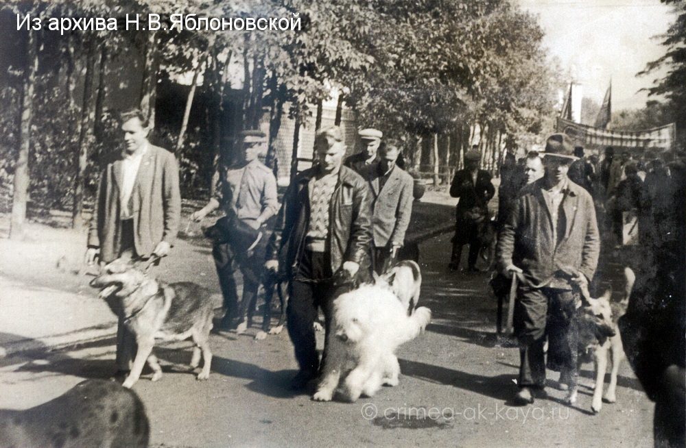 Южнорусская овчарка Карат и В.П.Яблоновский, 60-е годы ХХ в. Южнорусская овчарка Карат и В.П.Яблоновский, 60-е годы ХХ в.