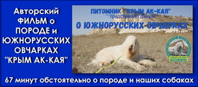 Авторский ФИЛЬМ О ПОРОДЕ И ЮЖНОРУССКИХ ОВЧАРКАХ КРЫМ АК-КАЯ - 67 минут обстоятельно о породе и наших собаках film o porode