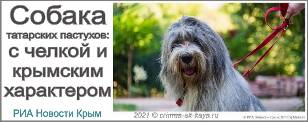 На фото: ДИНАРА-ДЮЛЬБЕР КРЫМ АК-КАЯ crimea-ak-kaya.ru