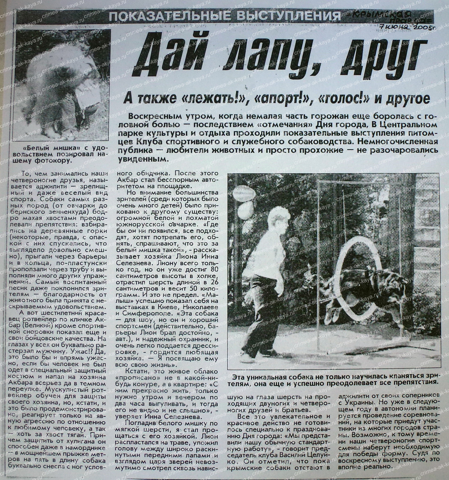 LION CRIMEA AK-KAYA Lion text