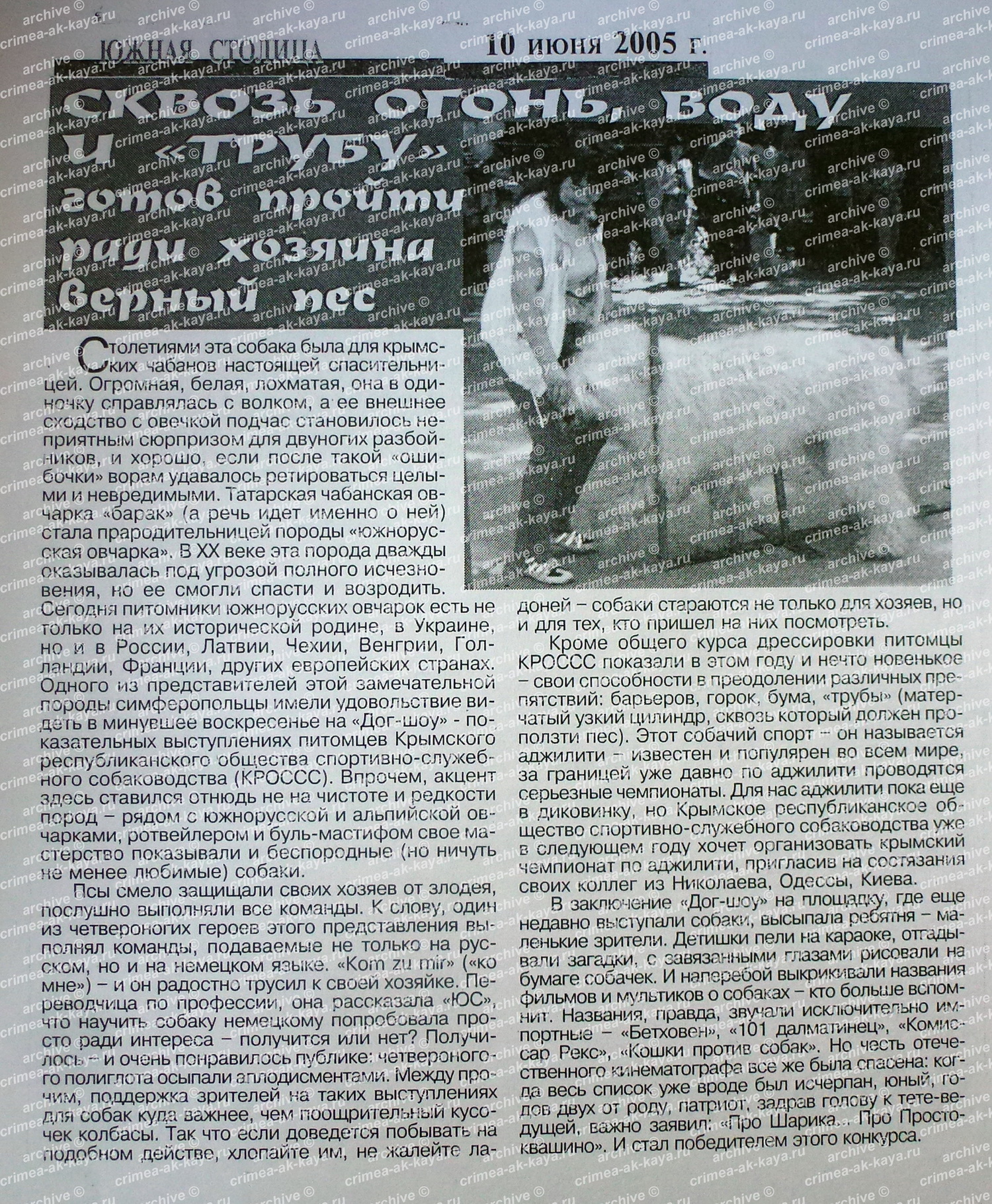 P1100565