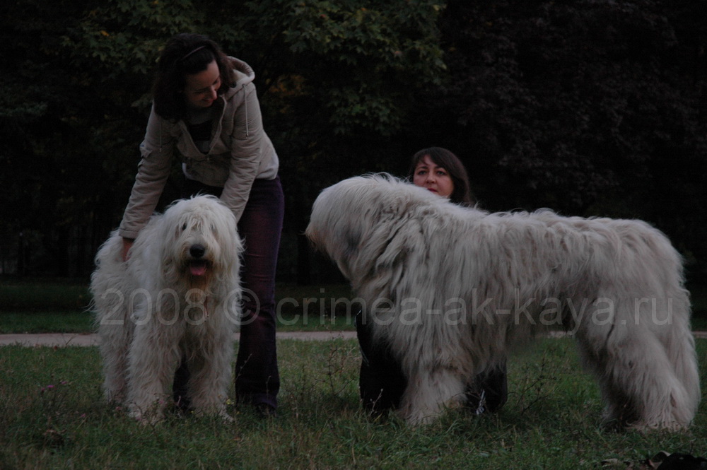 RUBINA CRIMEA AK KAYA & LION CRIMEA AK KAYA 3 RUBINA CRIMEA AK KAYA LION CRIMEA AK KAYA
