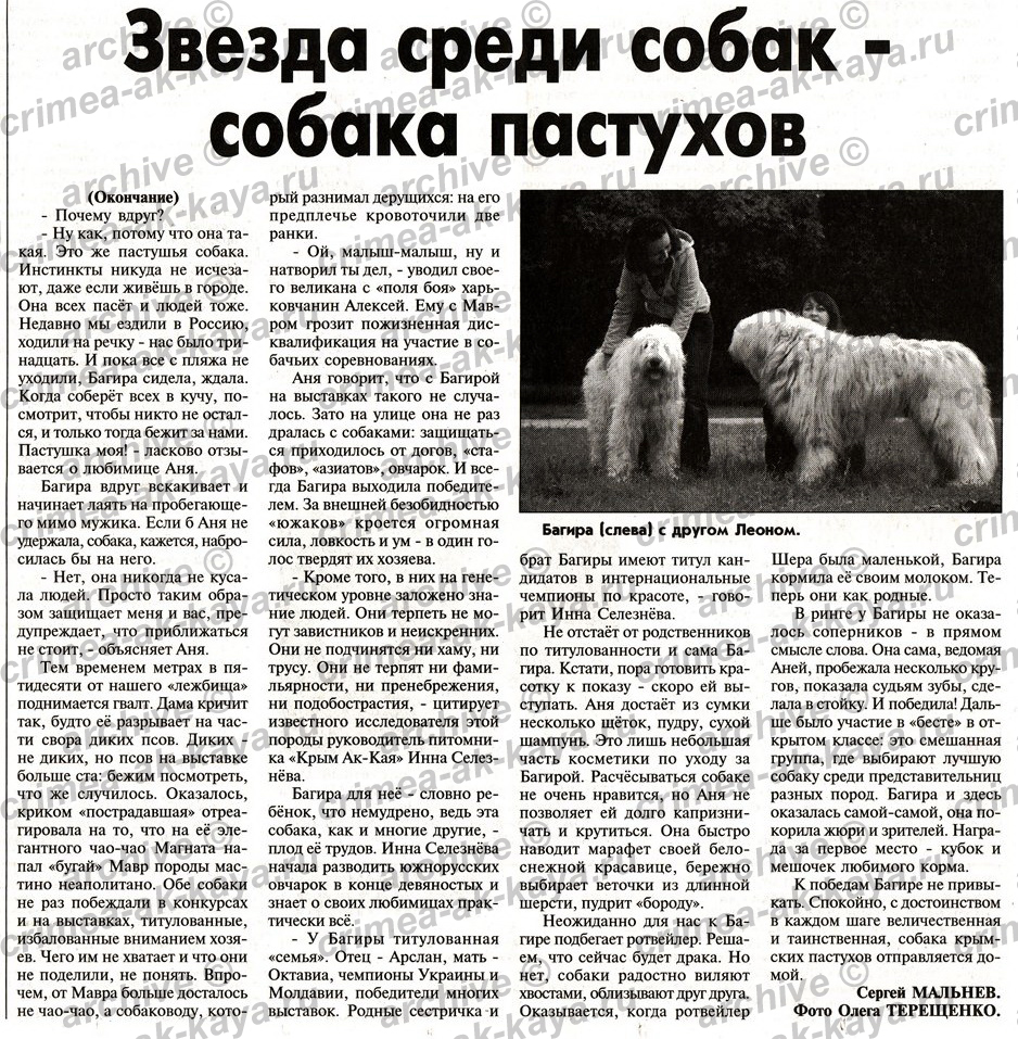 RUBINA CRIMEA AK KAYA & LION CRIMEA AK KAYA 4 RUBINA CRIMEA AK KAYA LION CRIMEA AK KAYA