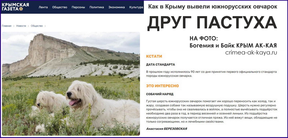 НА ФОТО: Богемия и Байк КРЫМ АК-КАЯ - https://crimea-ak-kaya.ru