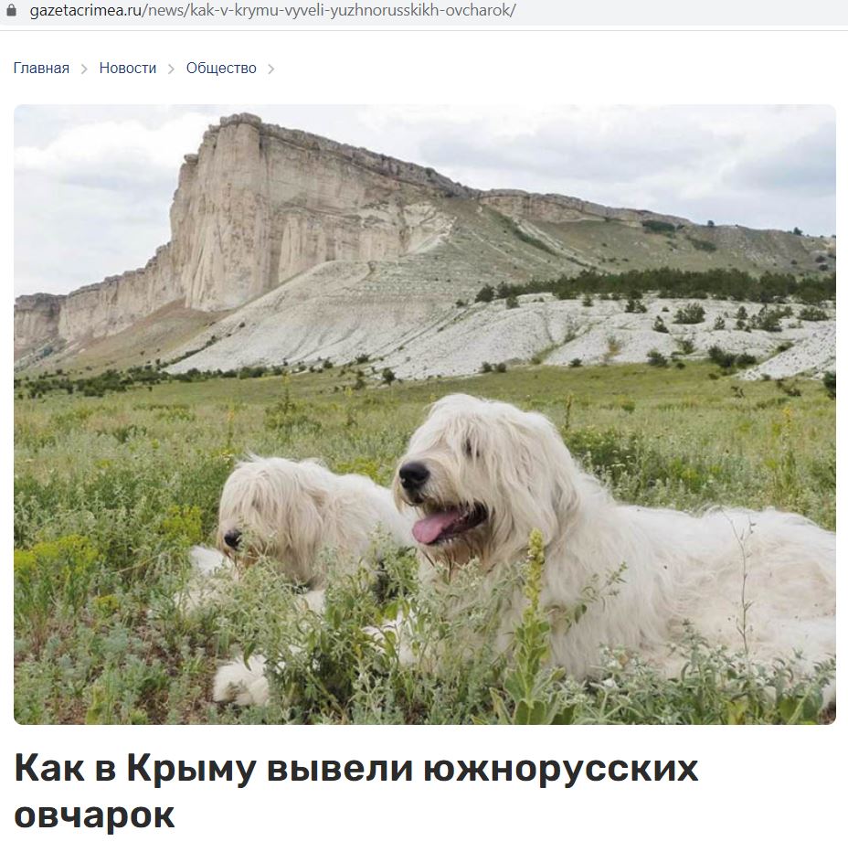 НА ФОТО: Богемия и Байк КРЫМ АК-КАЯ - https://crimea-ak-kaya.ru 1